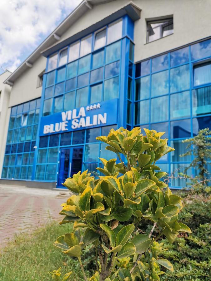 Vila Blue Salin **** Hotel Turda Exterior photo